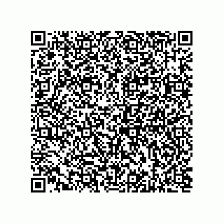 vCard 73812970370