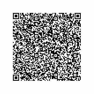 vCard 73812993819