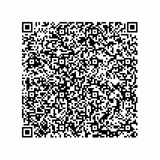 vCard 73812993839