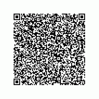 vCard 73812993879