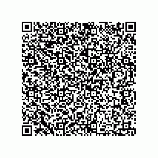 vCard 73812993919