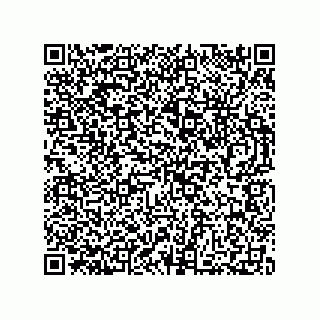 vCard 73812994004
