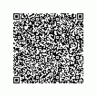 vCard 73812994007
