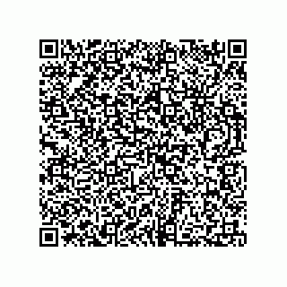 vCard 73812994009