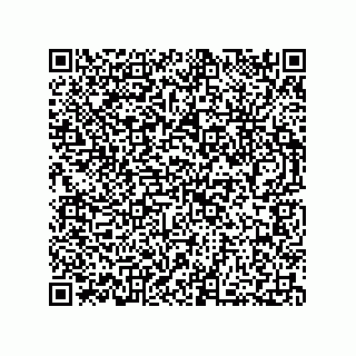 vCard 73812994020