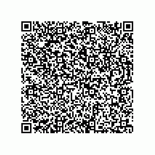 vCard 73812994021