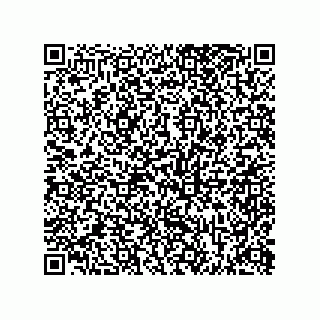 vCard 73812994029