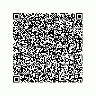 vCard 73812994031