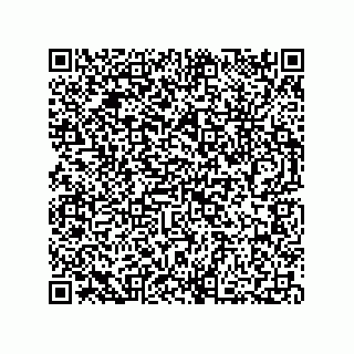 vCard 73812994032