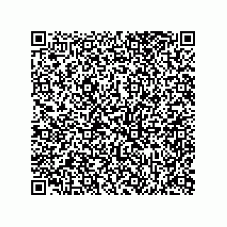 vCard 73812994033