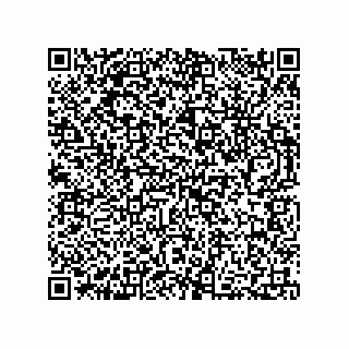 vCard 73812994039