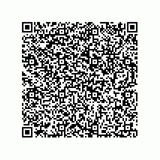 vCard 73812994079