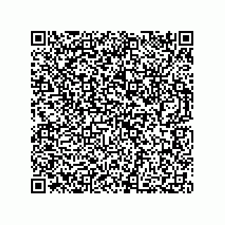 vCard 73812994088
