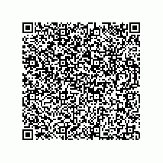 vCard 73812994110