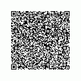 vCard 73812994119