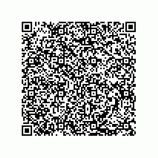 vCard 73812994233
