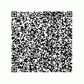 vCard 73812994263