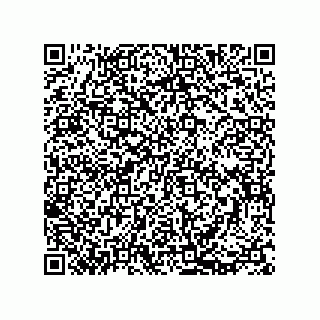 vCard 73812994271