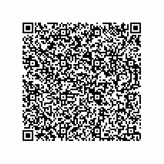 vCard 73812994281