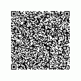 vCard 73812994287