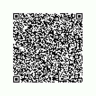 vCard 73812994309