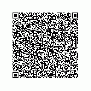 vCard 73812994333