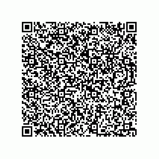 vCard 73812994381