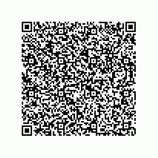 vCard 73812994393
