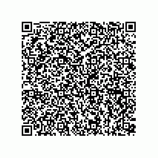 vCard 73815133667