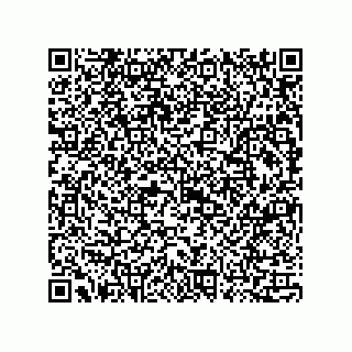 vCard 73815133681