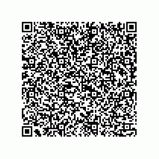 vCard 73815133684