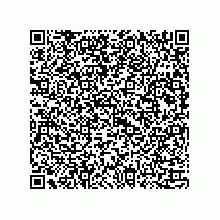 vCard 73815133702