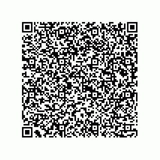vCard 73815133705