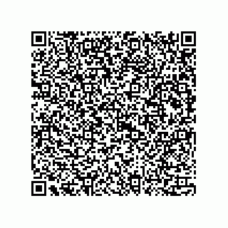 vCard 73815133708