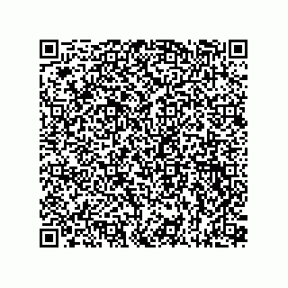 vCard 73815133709