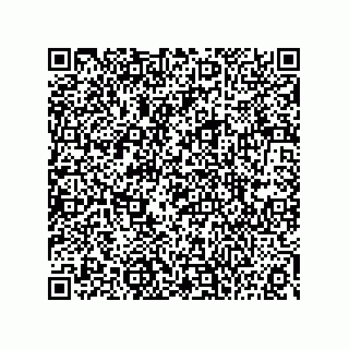 vCard 73815133719