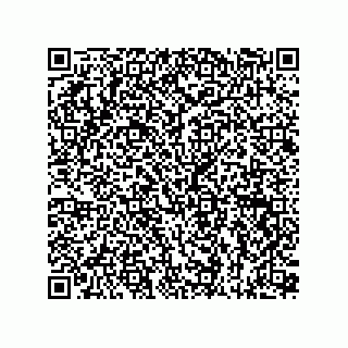 vCard 73815133727