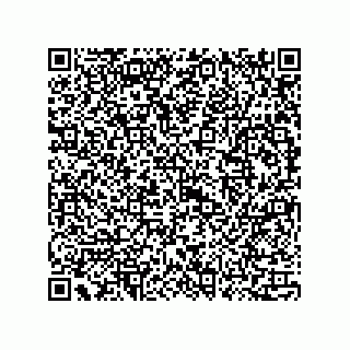 vCard 73815133733