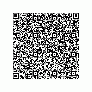 vCard 73815133741