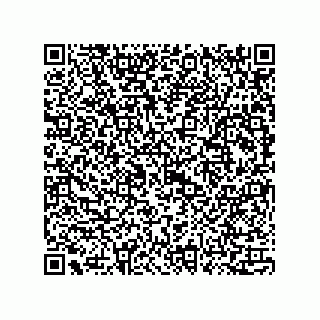 vCard 73815133748