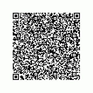 vCard 73815133761