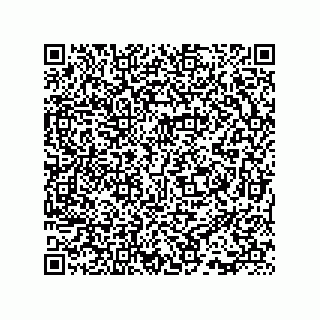 vCard 73815133777