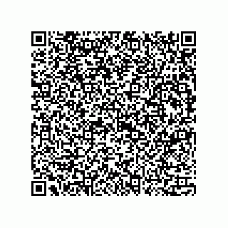 vCard 73815133781