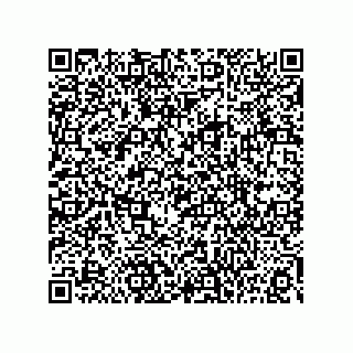 vCard 73815133788