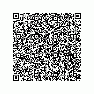 vCard 73815133789
