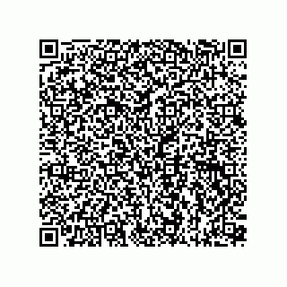 vCard 73815133798