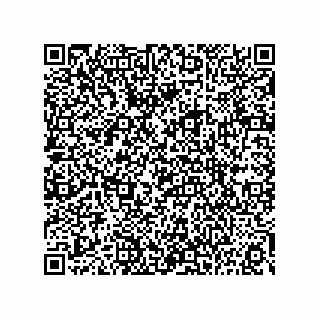 vCard 73815133802