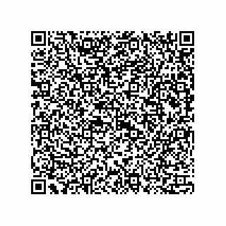 vCard 73815133804