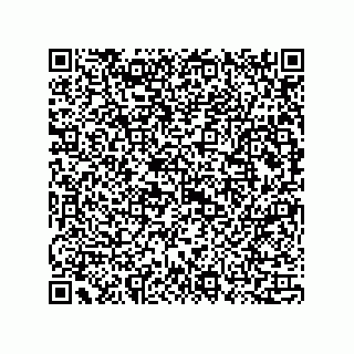 vCard 73815133809
