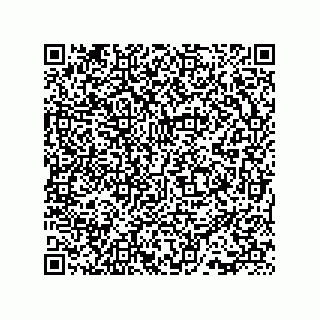 vCard 73815133810